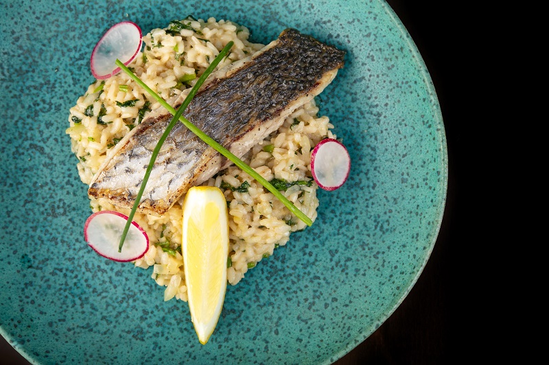 corvina prato